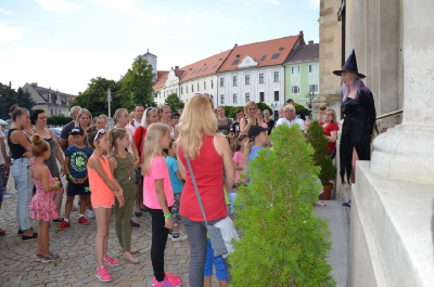 Obrázek č.0